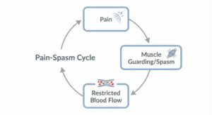 A medical diagram illustrating the pain-spasm cycle, showing the loop between pain, muscle guarding, and restricted blood flow, which therapeutic massage aims to break.